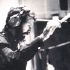 Charles conducting